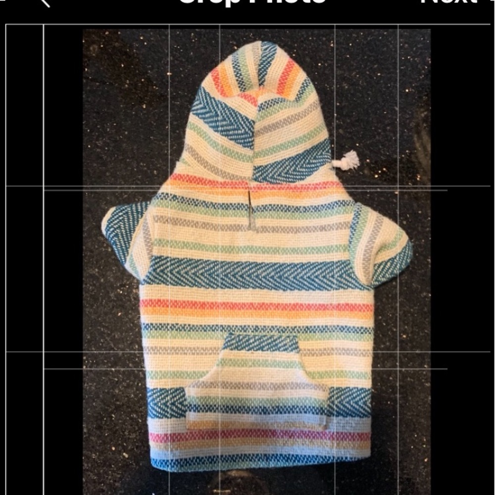 Dog clothing